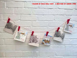 18 Red & Green Card Holder Pegs with 3m Red & White String | Self Assembly