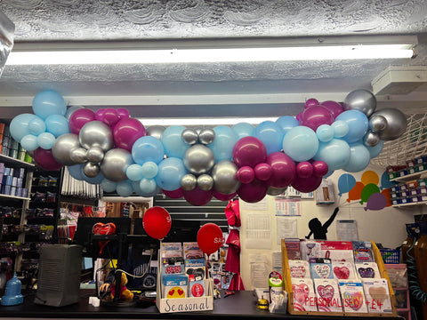 Frozen Themed Organic Garland