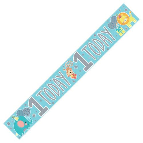 1 Today Blue Banner | 9ft